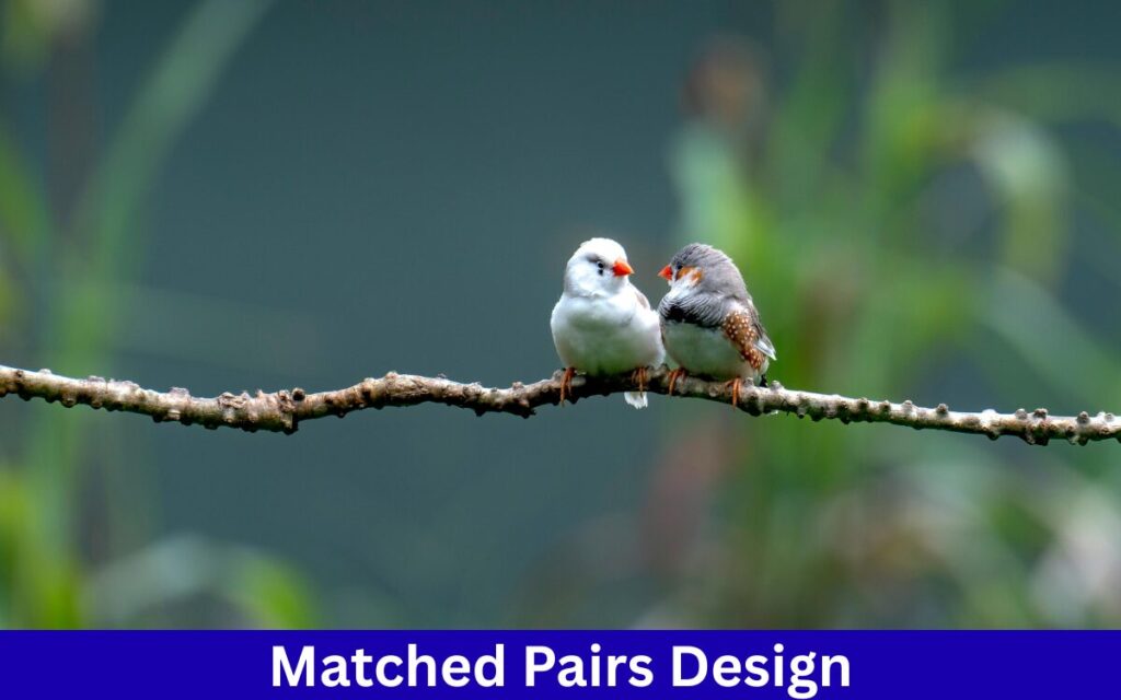 Matched Pairs Design