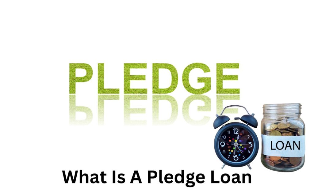 What is a Pledge Loan
